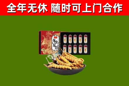 大连回收冬虫夏草价格